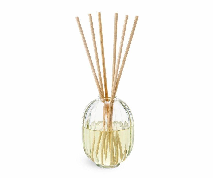 Summer Scents * | Figuier (Fig Tree ) Home Fragrance Diffuser