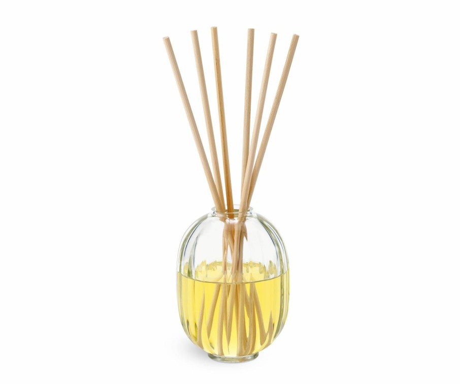 Summer Scents * | Citronnelle (Lemongrass) Summer Limited Edition Home Fragrance Diffuser