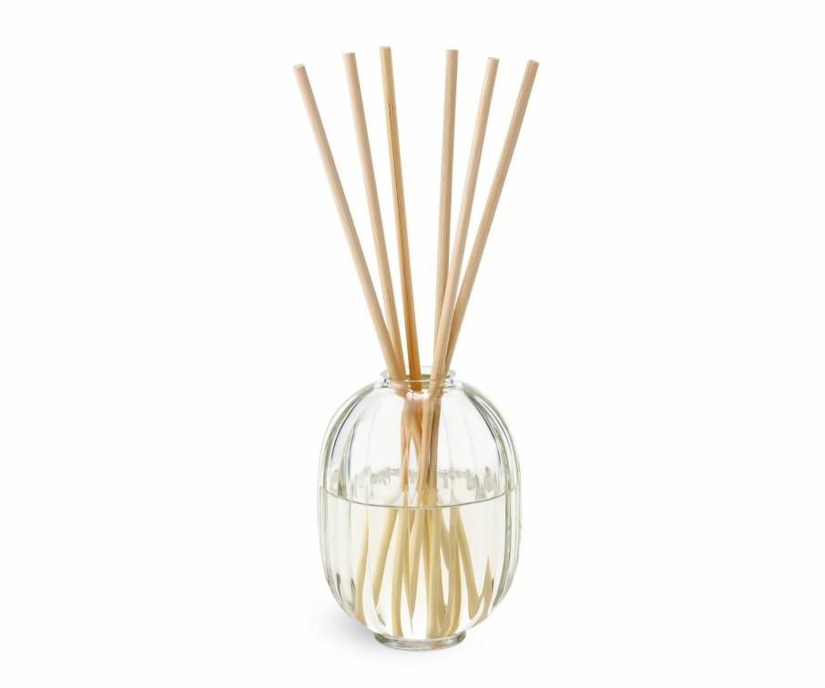 Summer Scents * | Mimosa Home Fragrance Diffuser