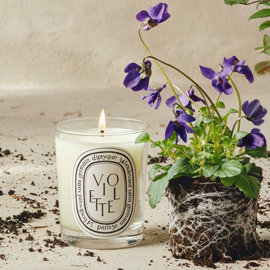 Scented Candles * | Violette (Violet) Classic Candle