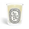 Scented Candles * | Eucalyptus Classic Candle