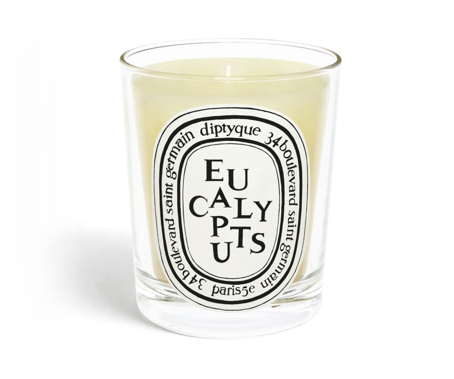 Scented Candles * | Eucalyptus Classic Candle