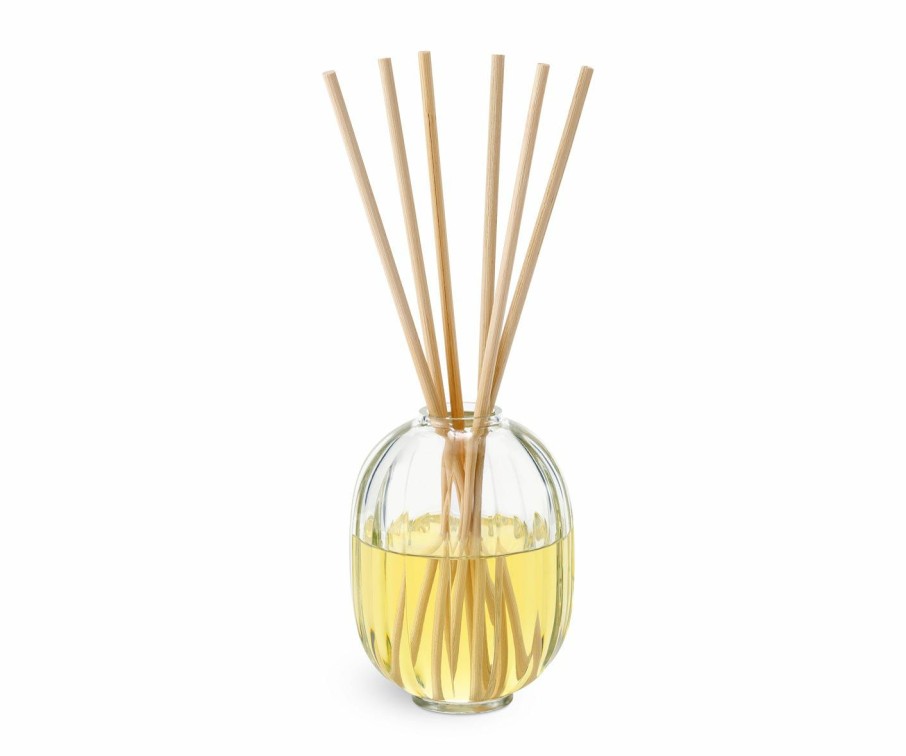 Summer Scents * | Fleur D'Oranger (Orange Blossom) Home Fragrance Diffuser