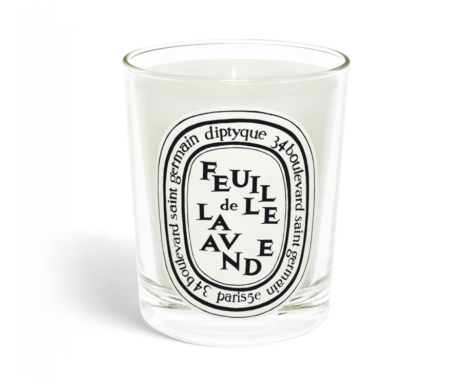 Summer Scents * | Feuille De Lavande (Lavender Leaf) Classic Candle