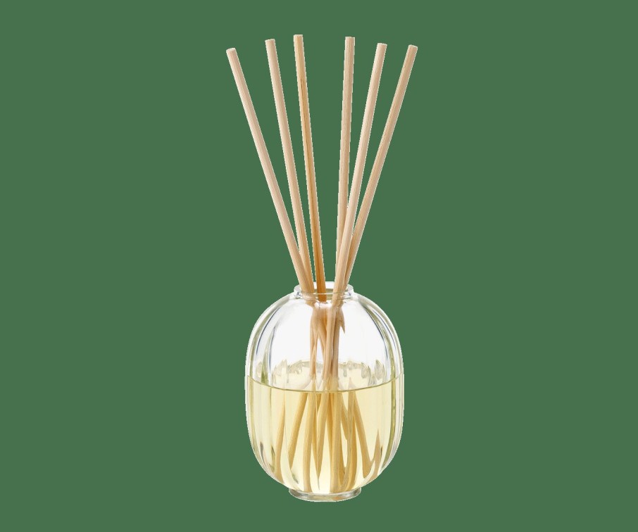 Diffusers * | 34 Boulevard Saint Germain Home Fragrance Diffuser