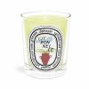 Summer Scents * | Citronnelle (Lemongrass) Summer Limited Edition Classic Candle