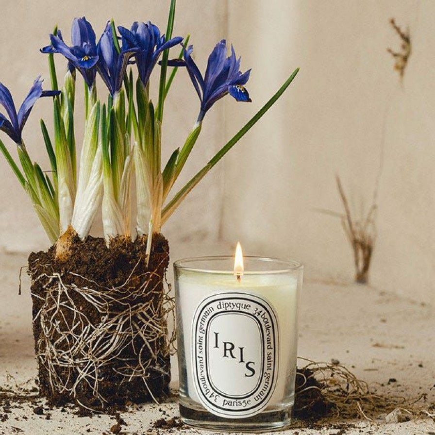 Scented Candles * | Iris Classic Candle